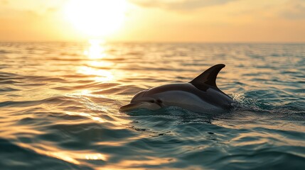 A dolphin is swimming in the ocean at sunset. The water is calm and the sky is orange