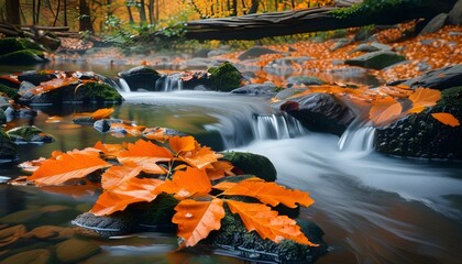 Wall Mural - serene autumn scene with orange leaves cascading into a tranquil forest creek