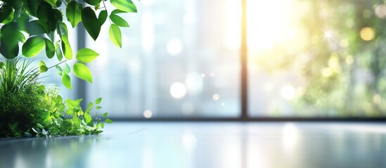 Sticker - Sunlight Through Window with Green Plants