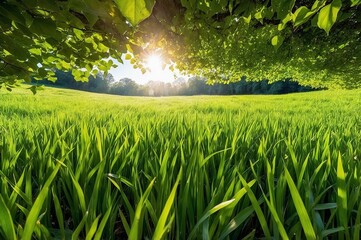 lush green field with trees in the background
