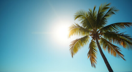 Wall Mural - palm tree silhouette