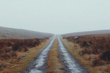 country road in autumn