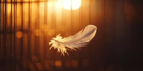 Poster - Delicate feather drifting gracefully in warm sunlight. Captivating nature scene with soft textures and gentle light. Perfect for artistic and serene visuals. AI
