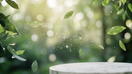 Poster - Natural leaves floating above a marble platform in a lush green forest during daylight