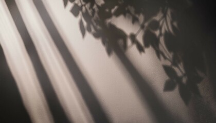 Wall Mural - cover with reflection