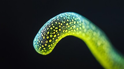 Sticker - Close-Up of a Green Plant Stem with Yellow Dots