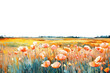 © Rawpixel.com - PNG Flower field backgrounds outdoors painting.