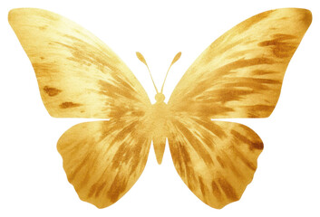 Canvas Print - PNG Butterfly insect animal petal.