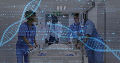 Poster - Image of dna strands over diverse doctors with patient in hospital