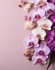 Canvas Print - Delicate orchids on pink