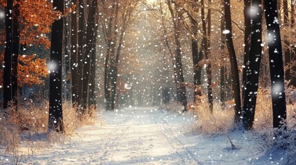 Sticker - A Snowy Path Through a Sunlit Forest