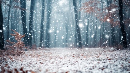 Canvas Print - Snow Falling Through a Forest of Trees