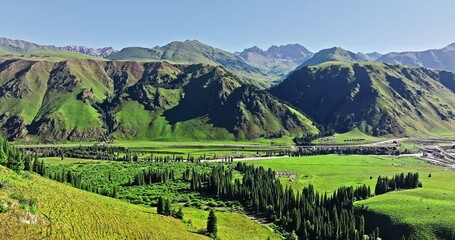 Wall Mural - Aerial view of green meadow and forest with mountain natural landscape in summer. Beautiful mountain range scenery in Xinjiang, China.