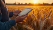 © Lerson - image captures person holding tablet displaying graphs in golden wheat field during sunset, symbolizing intersection of technology and agriculture