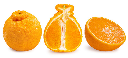 3 types of oranges, whole and sliced  on white background, Dekopon orange or sumo mandarin tangerine isolate on white with clipping path.