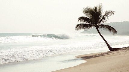Wall Mural - a lone palm tree stands on a sandy beach with waves crashing in the background.