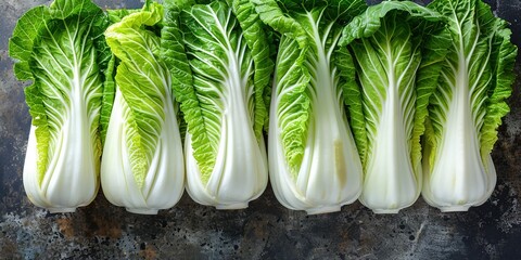 Canvas Print - fresh green cabbage