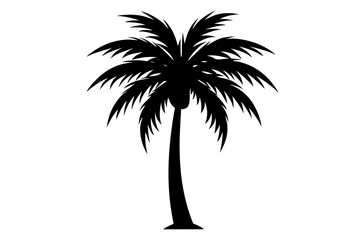 Wall Mural - Black palm tree silhouette isolated on white background.