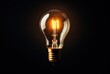 © Riz - A Single Illuminated Light Bulb Against a Dark Background