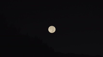 Wall Mural - starry night moonrise with mountain forest silhouette landscape