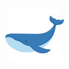 whale illustration isolated on white