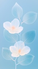 Canvas Print - Rose and leaves,soft blue,Close-up X-ray, translucence minimalist,simple white background,full of water drops, frosted glass blur covered, multiple exposures, macro photography, photography by william