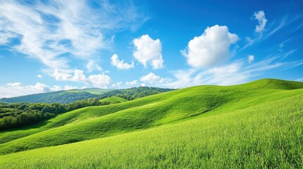 A beautiful, lush green field with a clear blue sky