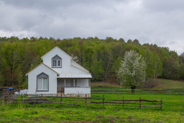 Stone houses built in green forest land. A mountain hut surrounded by greenery in spring. Modern building in forest land. Bursa Kırıntı village.  View of houses on the plateau in rainy weather.