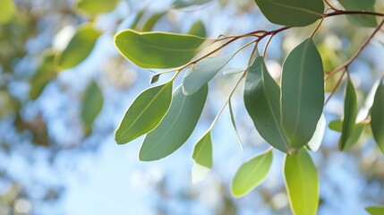 Sticker - Close-up view of lush green leaves swaying gently under clear blue sky in a sunlit outdoor setting during springtime