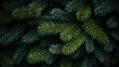 © Pakhnyushchyy - Christmas Fir tree brunch textured Background. Fluffy pine tree brunch close up.