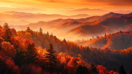 Poster - A beautiful autumn landscape with trees in the foreground