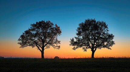 Two trees silhouettes at sunrise