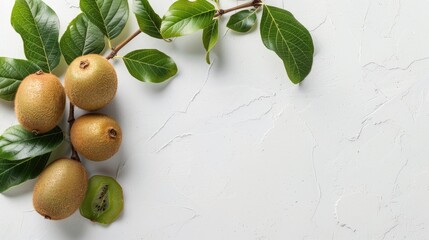 Fresh kiwi branch on white background with leaves mockup