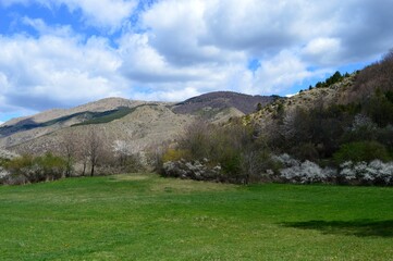 landscape of hills in summer