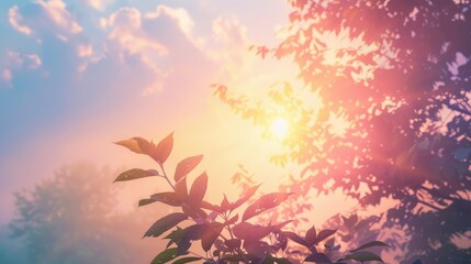 Poster - Morning sky