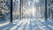 © NeuralNiche - Snow covered woodland scene in cold winter