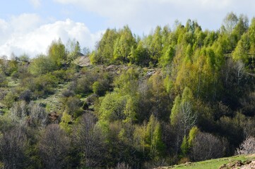 landscape of hills in summer