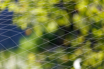 Wall Mural - Woven net against the backdrop of nature in summer