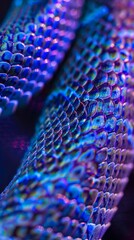 Poster - A blue and purple snake with a patterned skin