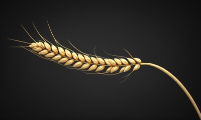 Golden wheat stalk on black background