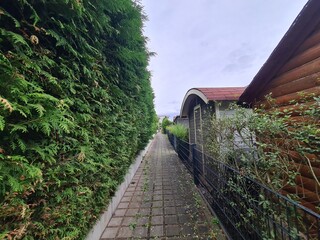 Spaziergang durch eine Gartenanlage in Berlin Lichterfelde