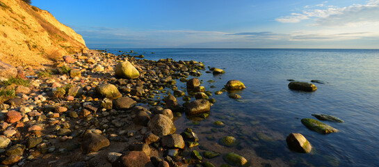 Wall Mural - Boulders and Cliff on the Coast of the Baltic Sea in the Warm Light of the Setting Sun, Rügen Island, Germany