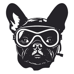 French bulldog  aviator 