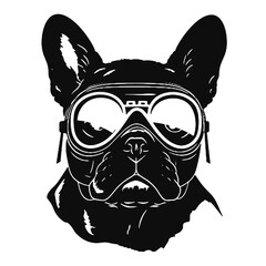 French bulldog  aviator 