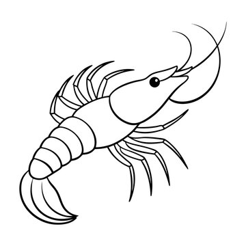 line art Shrimp fish vector