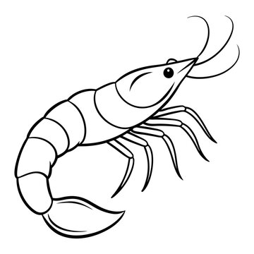 line art Shrimp fish vector