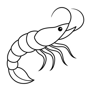 line art Shrimp fish vector