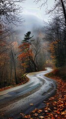 Poster - A road with a tree on it and leaves on the ground