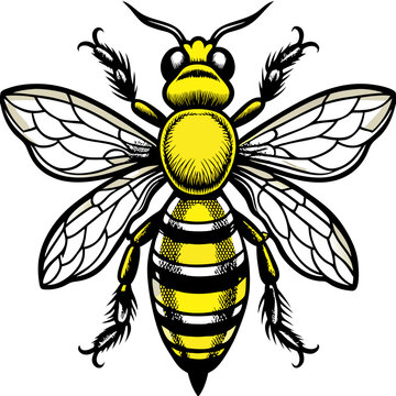 Bee SVG Cut File, Bumble Bee Svg, Honey Bee SvHoney bee logo design template with vector illustrationg, Honeycomb, Honey Drip Svg, Bee Clipart, 