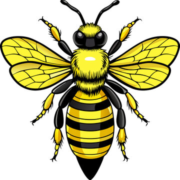 Bee SVG Cut File, Bumble Bee Svg, Honey Bee SvHoney bee logo design template with vector illustrationg, Honeycomb, Honey Drip Svg, Bee Clipart, 